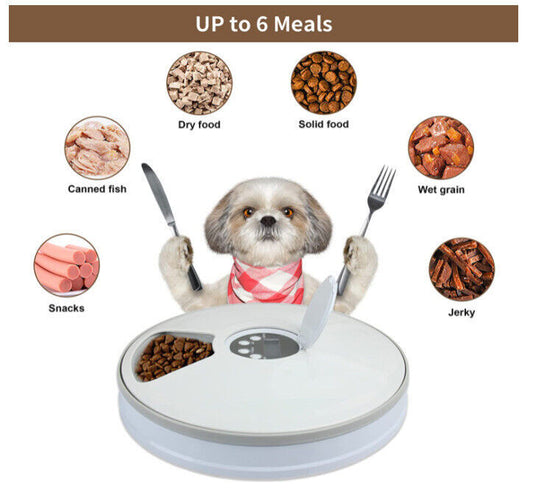 Automatic 6 Day Meal Timed Pet Dog Cat Feeder Food Bowl Auto Holiday Dispenser